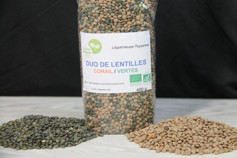 lentilles corail et vertes