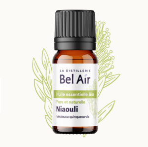 Niaouli huile essentielle