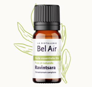 Ravintsara huile essentielle