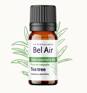 Tea Tree (arbre à thé) huile essentielle