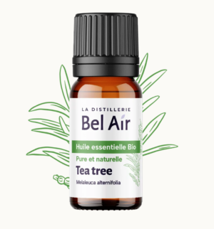 Tea Tree (arbre à thé) huile essentielle