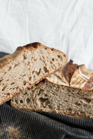 pain des anciens levain maison bio